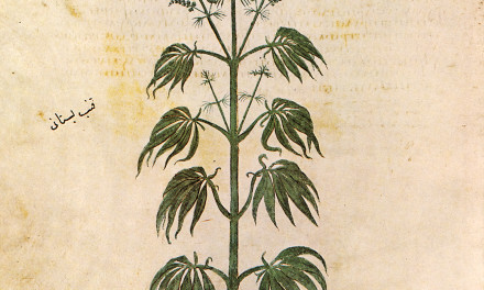The Legal History of Cannabis