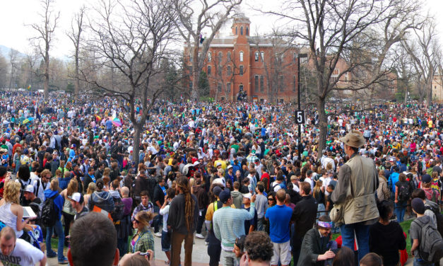 What Really Happens at a 420 Event?