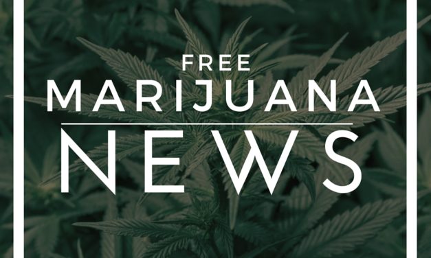 Laws Growing Around the Sale of Marijuana