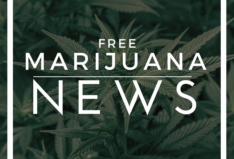 Laws Growing Around the Sale of Marijuana