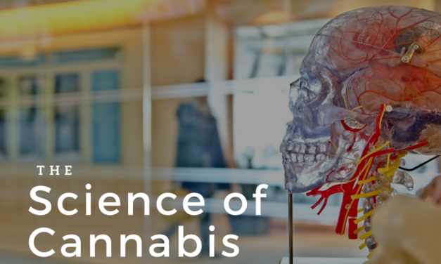 The Science Behind Cannabis