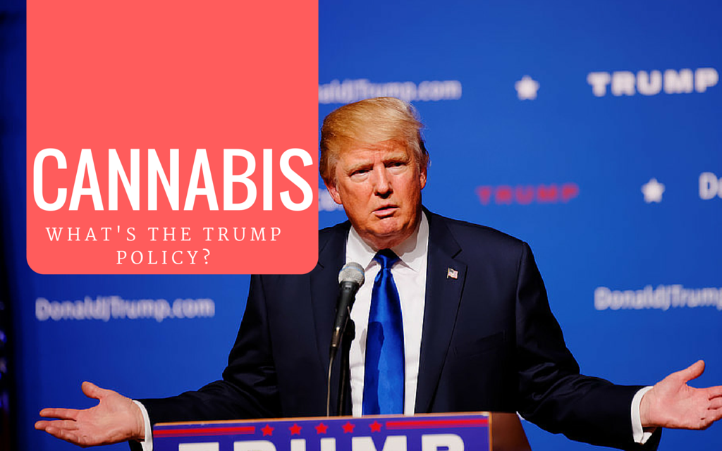 What Is Donald Trump’s Stance on Cannabis?