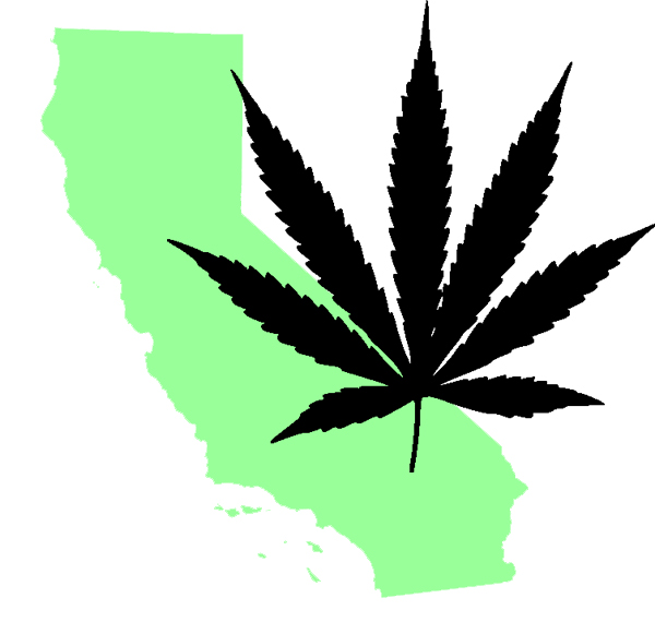 California Marijuana Businesses Growing Faster Than the Plant Itself