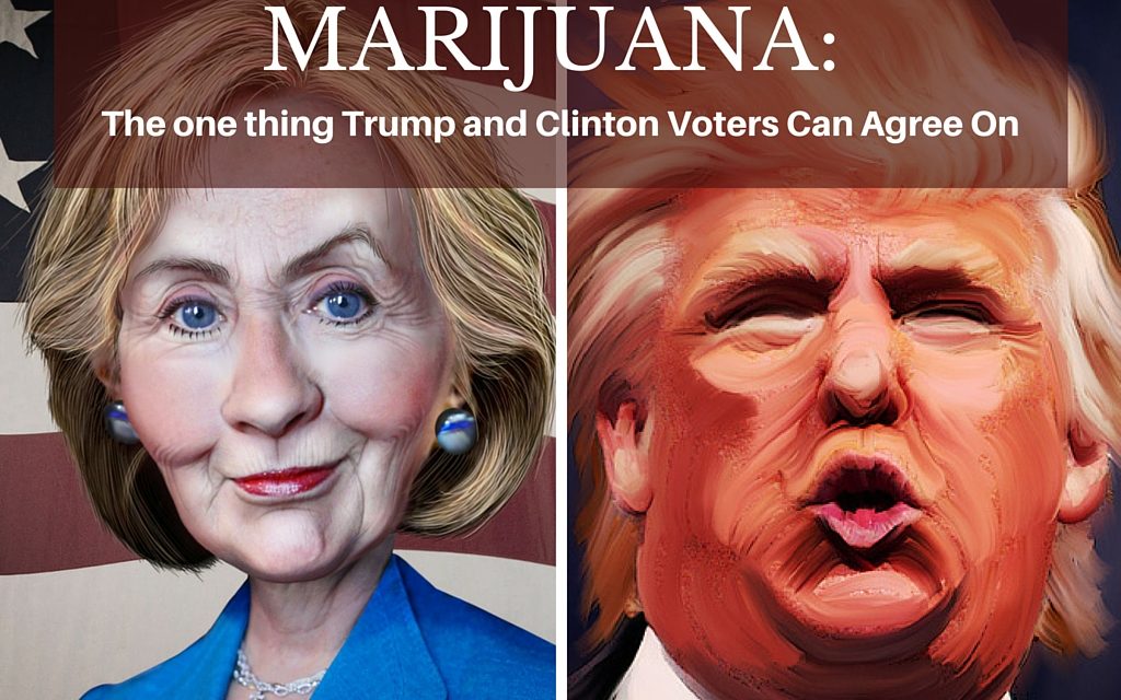 Marijuana: The One Issue Trump and Clinton Voters Can Agree On